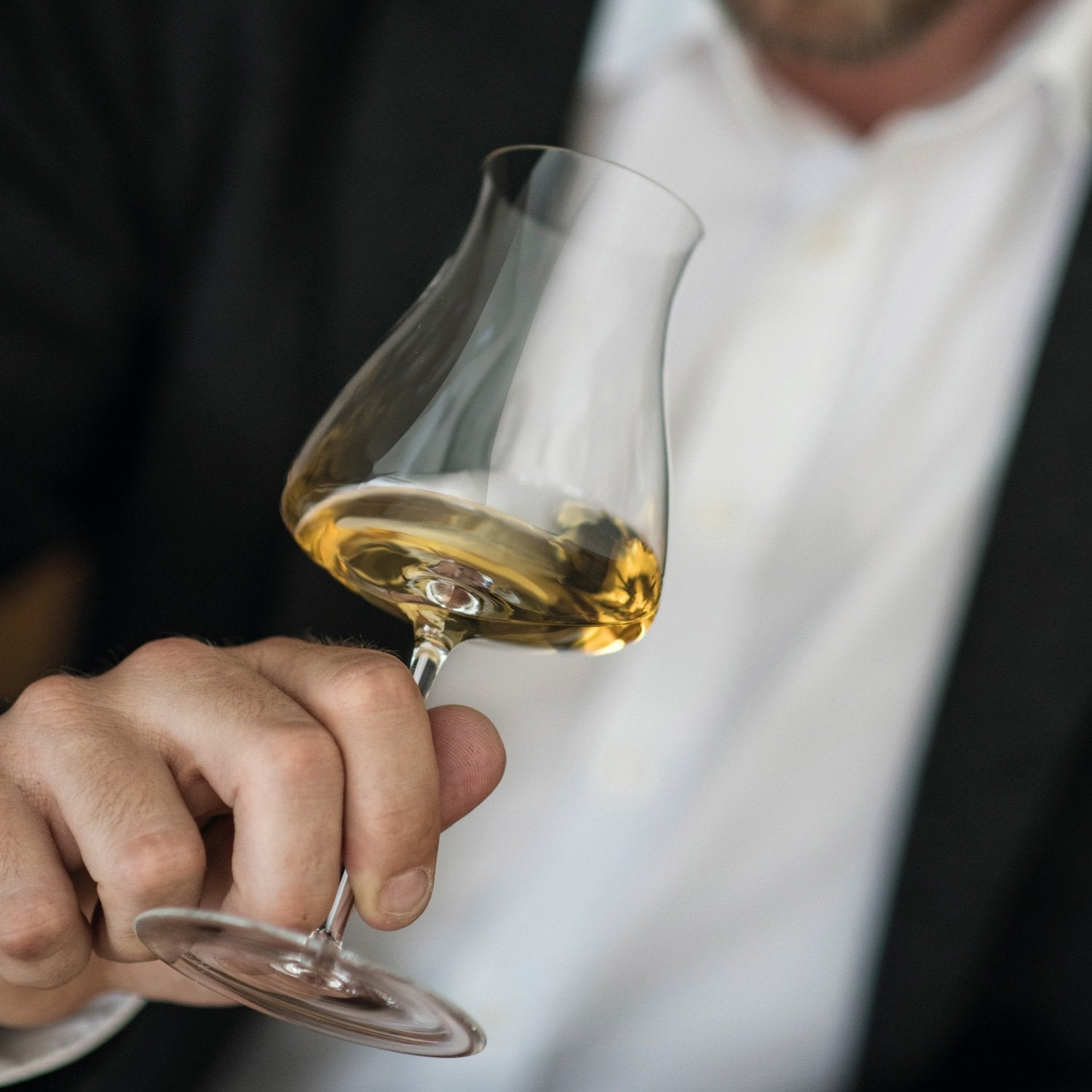 Zwiesel Glas Wine classics Select Cocktailglas 28,5 cl - 6 Stuks - Glazen.nl