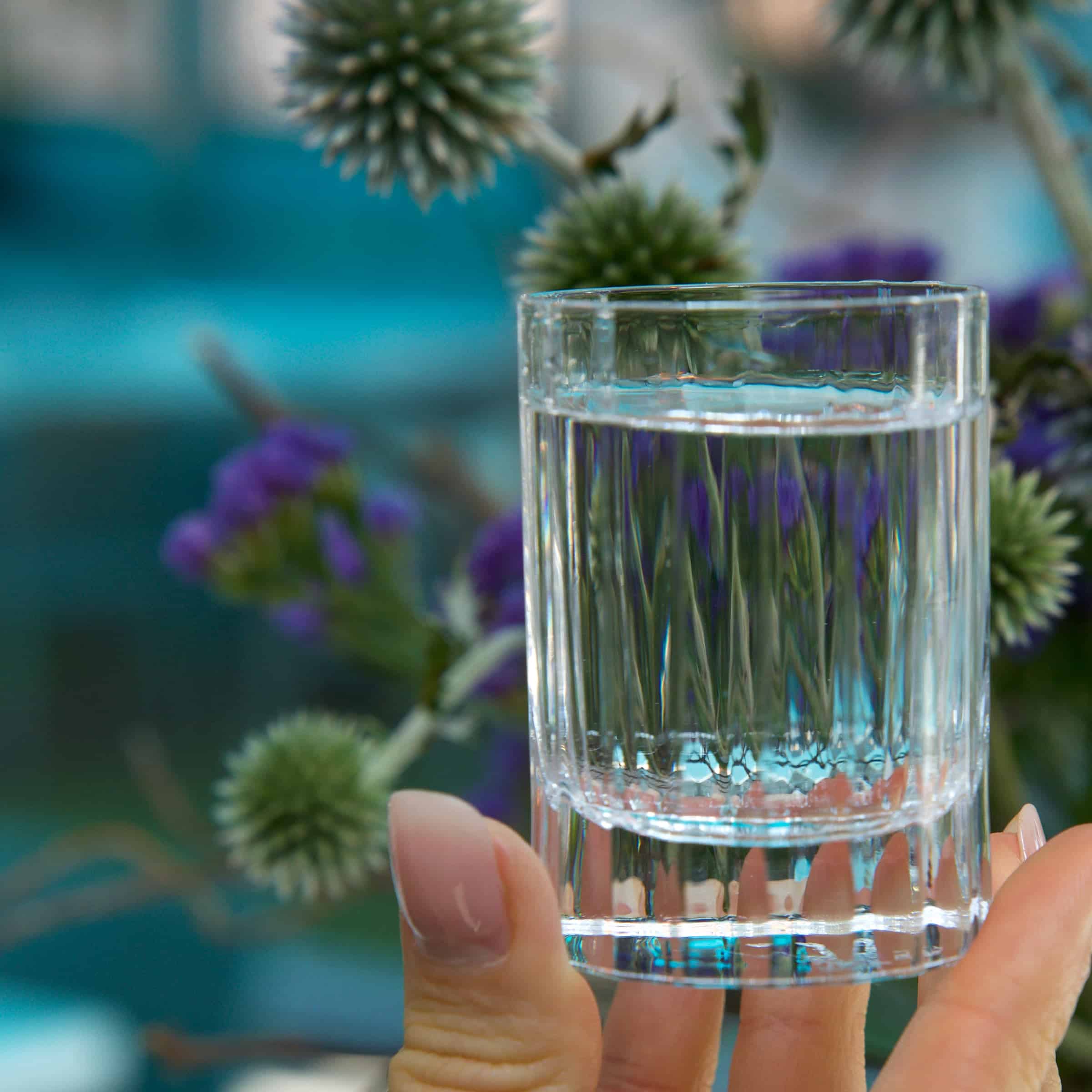 Luigi Bormioli Bach Tumbler Fb 25,5 Cl - 6 Stuks - Glazen.nl